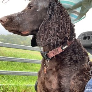 Meet your Posher, Sharon